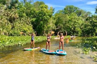 Longwood: Geführte Wekiva River Paddleboarding Tour