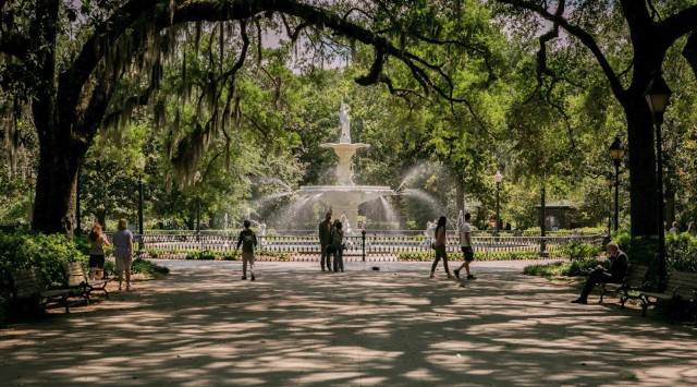Visit Savannah Best of the City Tour with Wormsloe Historic Site in Savannah