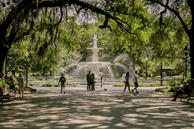 Savannah: Excursión de lujo de medio día con crucero por el río