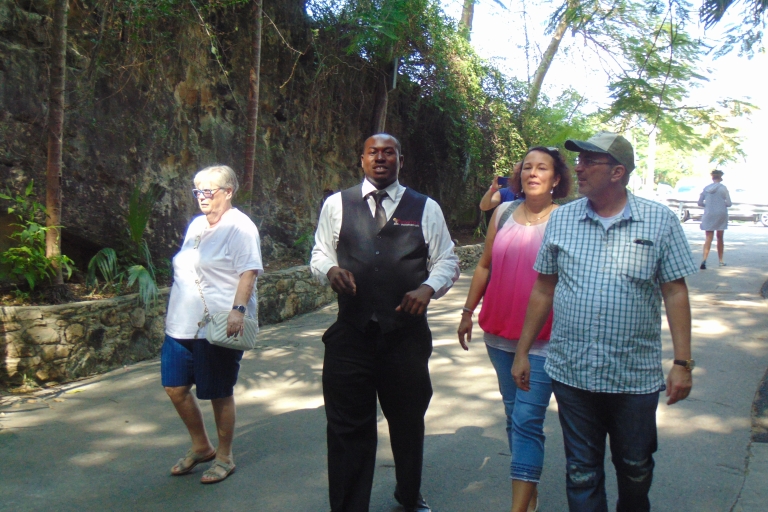 Nassau: visite privée et personnalisée de l'îleVisite en Sprinter de luxe