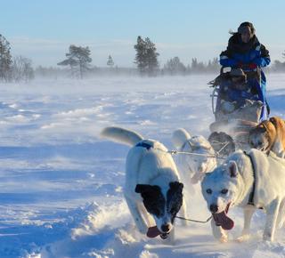 Kiruna image