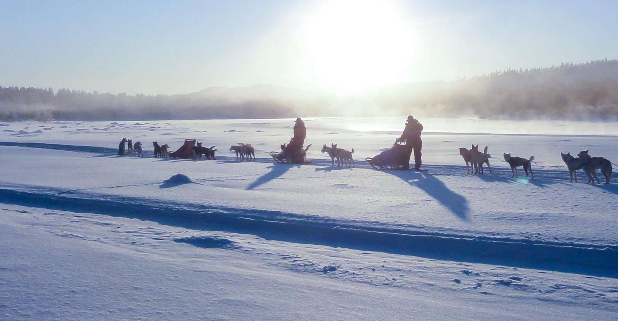 Kiruna, selbstfahrende Husky-Morgentour - Hizvo