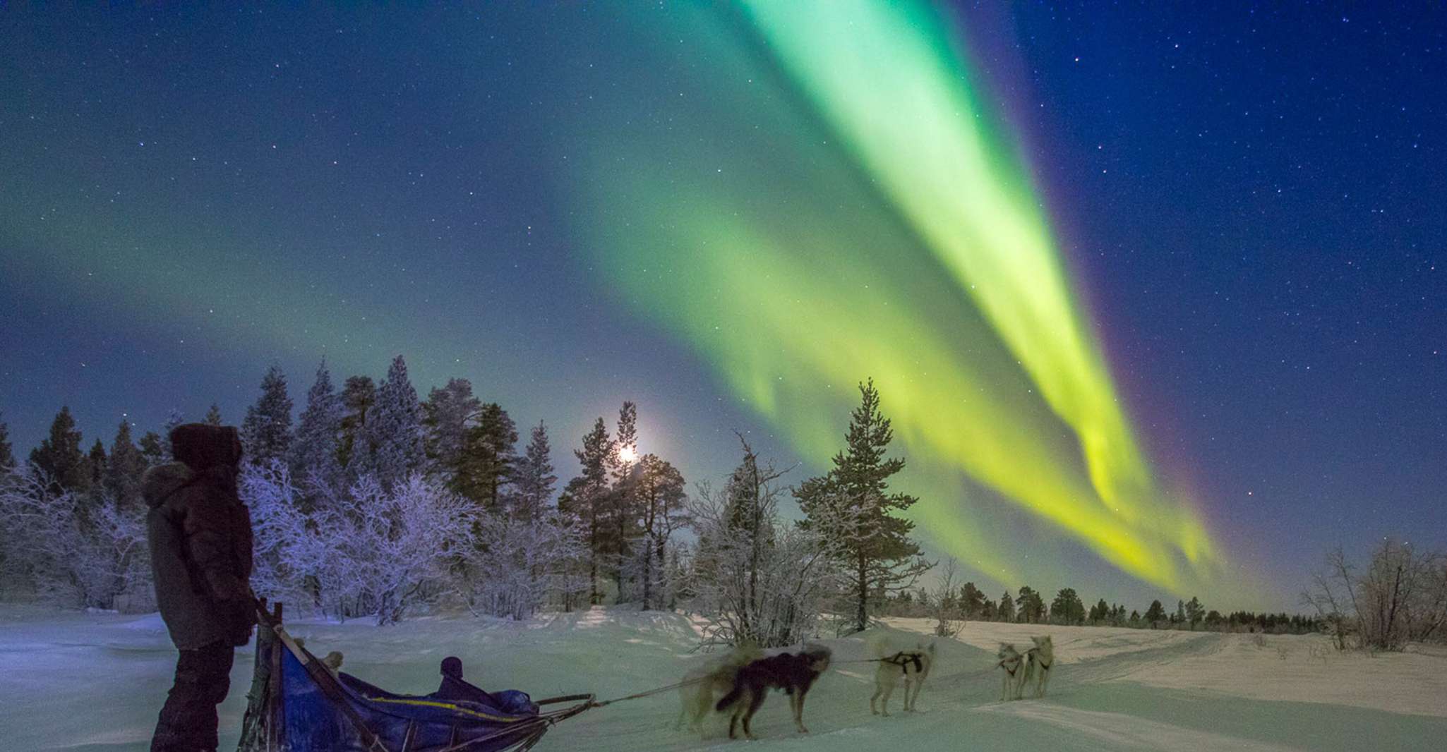 De Kiruna, Northern Lights a guidé Husky Sledding Adventure - Hizvo