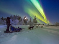 De Kiruna, Northern Lights a guidé Husky Sledding Adventure - Hizvo