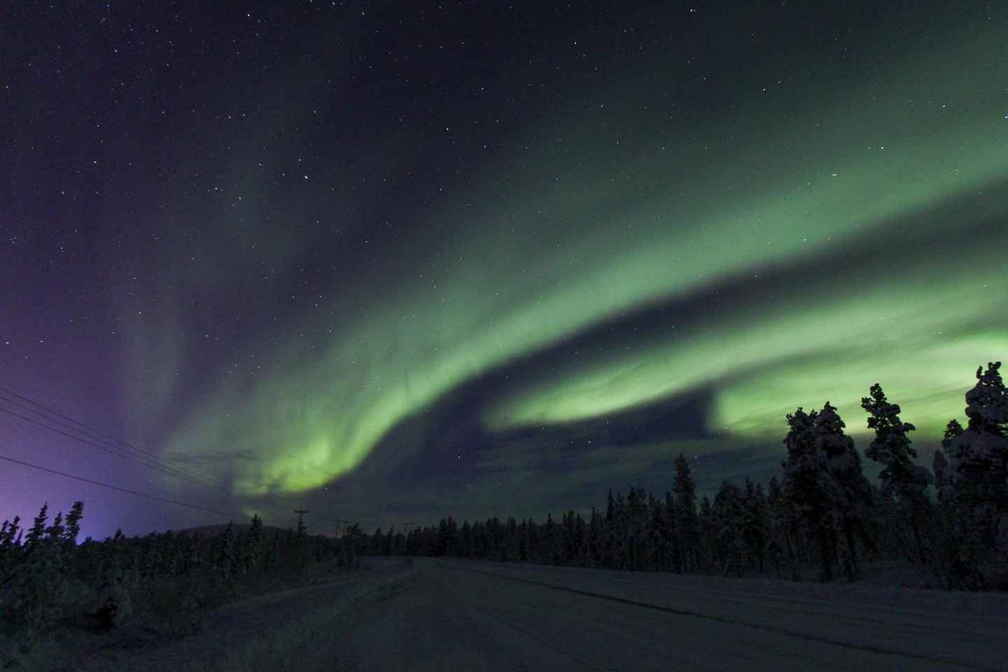 Frá Kiruna: Leiðsögn um norðurljós á sleða með hundum