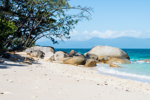 Vanuit Cairns: volledige dag op Fitzroy Island TransfersVanuit Cairns: volledige dag op Fitzroy Island