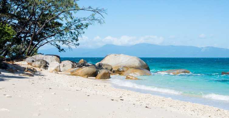 From Cairns Roundtrip Boat Transfer to Fitzroy Island GetYourGuide