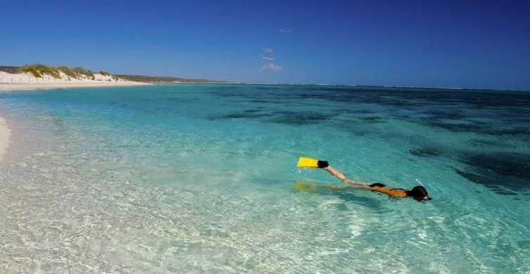 From Perth 6 Day Whale Shark Snorkel and Ningaloo Reef Tour GetYourGuide