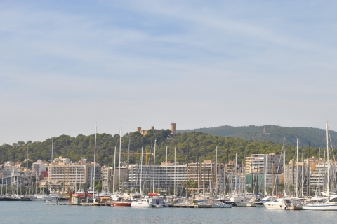 Palma de Mallorca: 1 uur rondvaart langs bezienswaardighedenVanaf Av. de Gabriel Roca: 1 uur durende boottocht