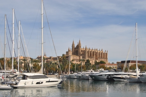 Palma de Majorque : croisière touristique d'1 hDepuis l'Av. de Gabriel Roca : excursion d'1 h en bateau