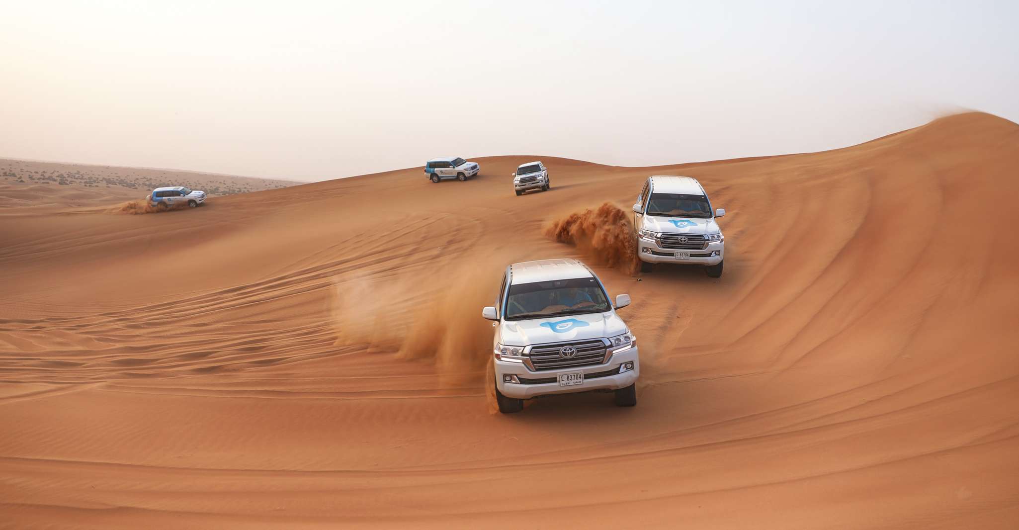 Dubai, Safari du désert de nuit, Camels, Dîner, & Stargazing - Hizvo