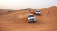 Dubai, Nacht Desert Safari, Kamele, Abendessen, & Stargazing - Hizvo