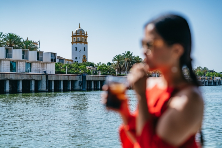 Sevilla: 1 uur durende rondvaart op de Guadalquivir-rivierGedeelde Eco Cruise