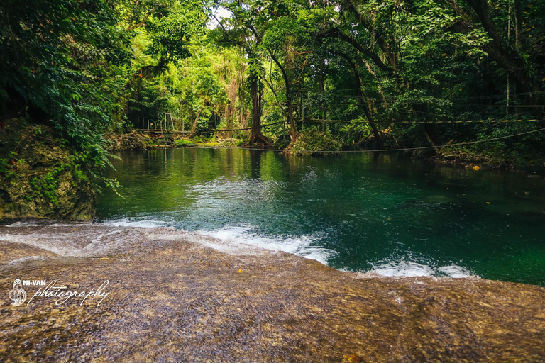 Efate: Tropical Nature Excursion with Swimming Efate: Eden on the River Swim & Play with Transfers