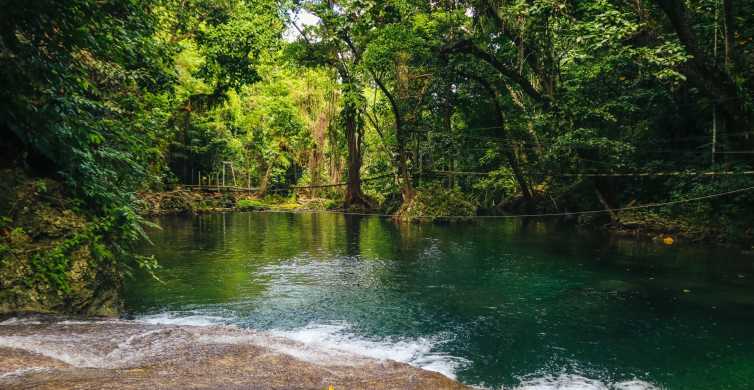 Efate Tropical Park Excursion at Eden on the River GetYourGuide