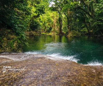 Efate: Tropical Nature Excursion with Swimming