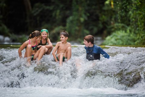 Efate: Tropical Nature Excursion with Swimming Efate: Eden on the River Swim & Play with Transfers