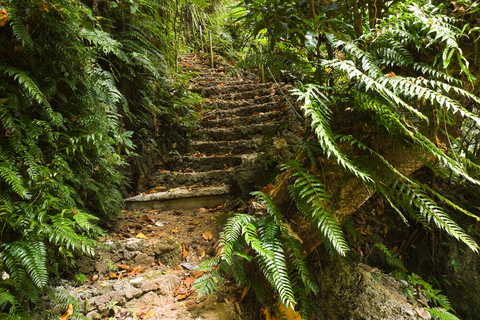 Efate: Tropical Nature Excursion with Swimming Efate: Eden on the River Swim & Play with Transfers