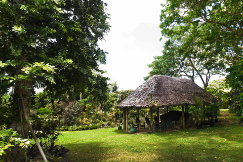 Efate: Tropical Nature Excursion with Swimming Efate: Eden on the River Swim & Play with Transfers