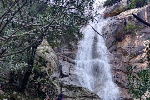Villacidro: Guided Cogas History and Culture Day Trek