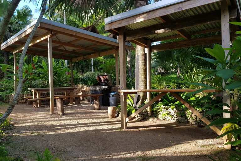 埃法特：河畔伊甸园烹饪体验埃法特：河上伊甸园烹饪之旅（不含交通）