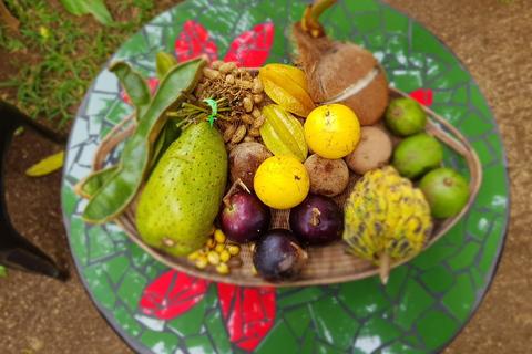 埃法特：河畔伊甸园烹饪体验埃法特：河上伊甸园烹饪之旅（不含交通）