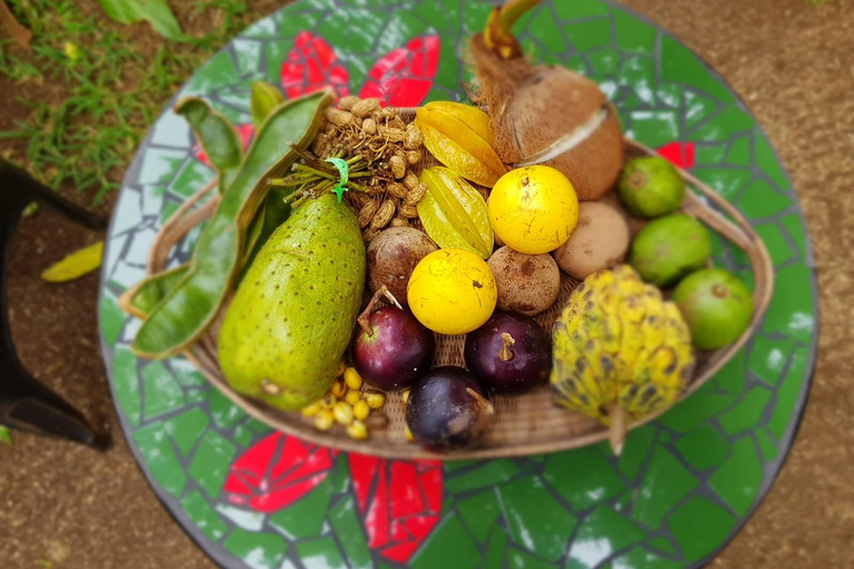 埃法特：河畔伊甸园烹饪体验埃法特：河上伊甸园烹饪之旅（不含交通）