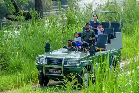 Da Kathmandu o Pokhara: Safari nella giungla di Chitwan di 3 notti