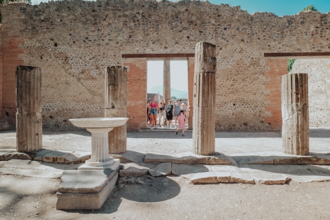 Sorrento: Transfer to Naples with Pompeii Guided Tour