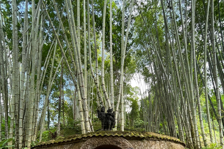 Bali: Tour del villaggio di Taro e del tempio dell&#039;acqua di sorgente sacraTour del Tempio dell&#039;Acqua Santa con trasporto da Ubud