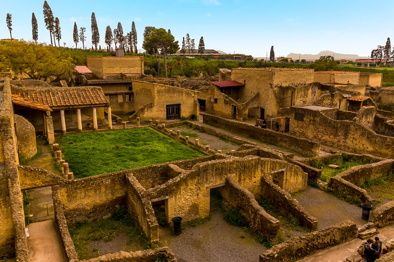 Costiera Amalfitana: Trasferimento a Napoli con tour di ErcolanoCostiera Amalfitana: Trasferimento a Napoli con Herculaneum Tour