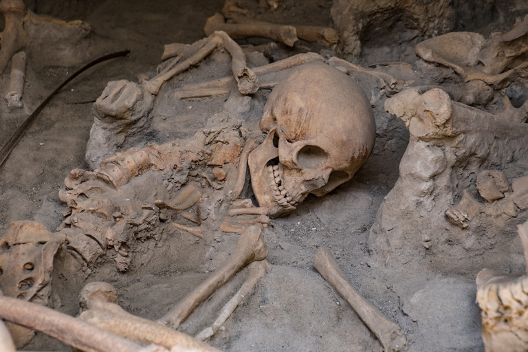 Amalfiküste: Transfer nach Neapel mit Herculaneum-TourAmalfi: Transfer nach Neapel mit geführter Tour durch Herculaneum