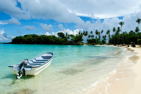 Van Punta Cana: dagtrip walvissen spotten en stranden