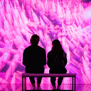 Miami: ARTECHOUSE Immersive Art Experience Entry Ticket