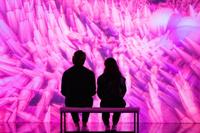 Visit Miami ARTECHOUSE Immersive Art Experience Entry Ticket in Manhattan Beach