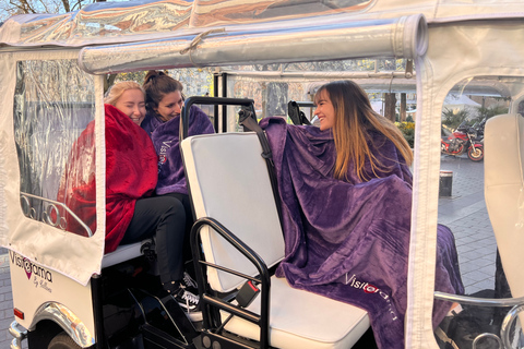 Toulouse: Elektrische Tuk-Tuk Tour mit Fotostopps und Audio