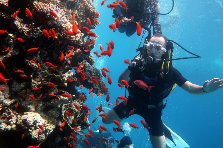 Hurghada: Red Sea Scuba Diving For Beginners & Certified Hurghada: Daily Scuba Diving for Beginners, 2 intro dives