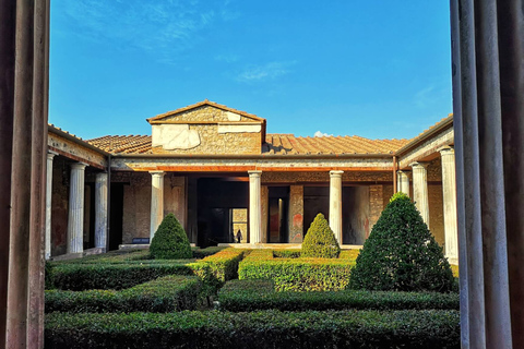 Visita Privada a Pompeya y Herculano en Coche