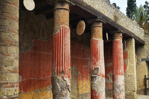 Da Napoli: gita privata di mezza giornata a Pompei ed ErcolanoTour privato di Pompei ed Ercolano in auto