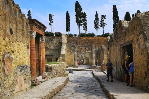 Privérondleiding door Pompeii en Herculaneum per autoPrivate Pompeii en Herculaneum Tour per auto