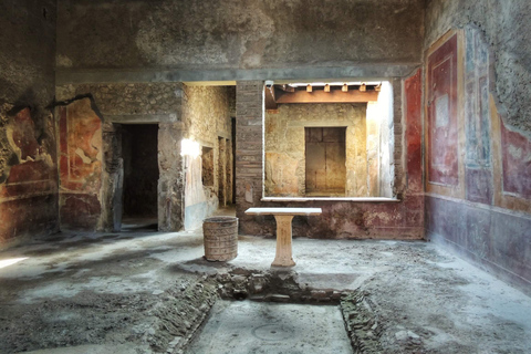 From Naples: Pompeii and Herculaneum Half-Day Private TripPrivate Pompeii and Herculaneum Tour by Car