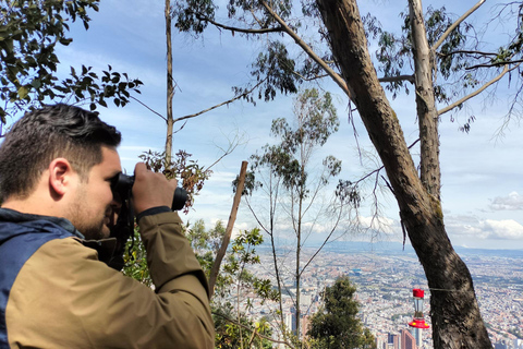 Bogotá: Monserrate Birdwatching Tour with Guide