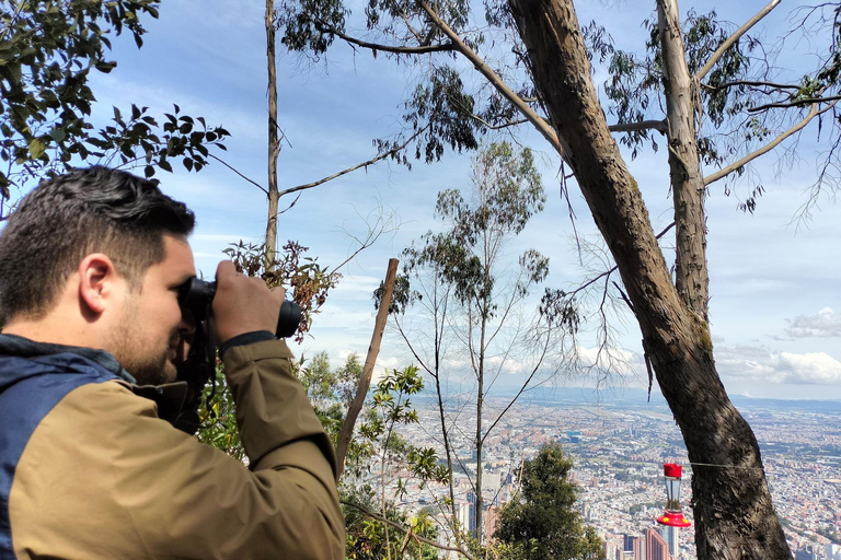 Bogotá: Monserrate Birdwatching Tour with Guide