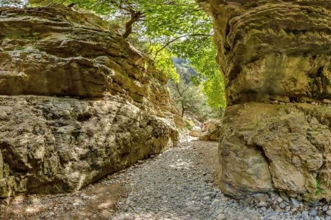 From Heraklion: Imbros Gorge and Libyan Sea Guided Day Trip