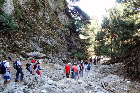 From Rethymno: Imbros Gorge &amp; Libyan Guided Sea TourPickup Panormos, Lavris, Scaleta, Sfakaki, and Stavromenos