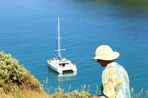 Bay of Islands: Segelnder Katamaran Charter mit Mittagessen