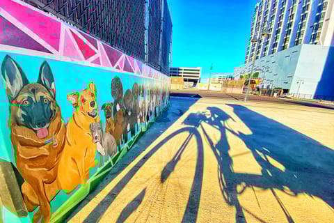 Reno: Downtown Burning Man Street Art Pedicab Tour