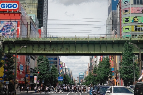 Akihabara Highlights Wycieczka po anime, subkulturze i elektronice