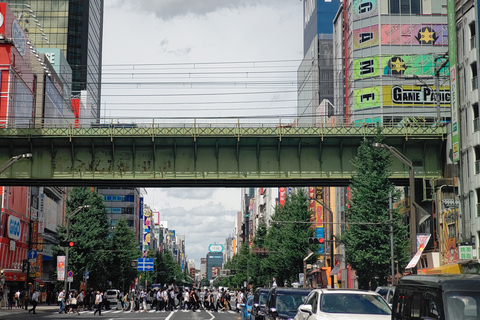 Akihabara Highlights Tour für Anime, Subkultur und Elektronik