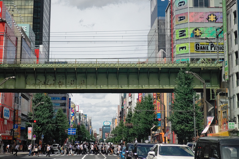 Akihabara Highlights Tour für Anime, Subkultur und Elektronik